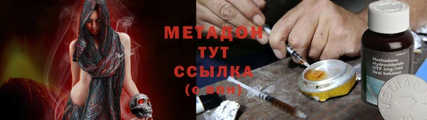 прущие грибы Арсеньев