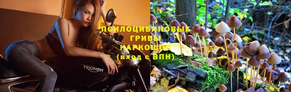 стафф Михайловск